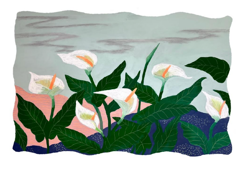 Regress Into the Future: New Work by Iris de la Torre 1