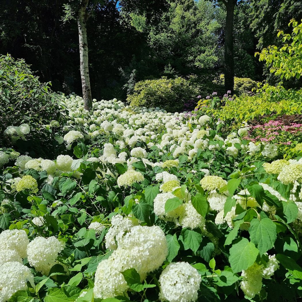 Les Jardins du Pays d'Auge 4