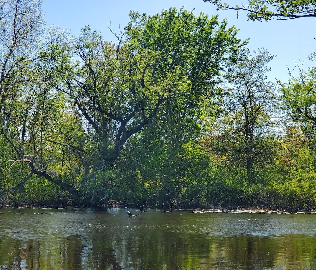 Charles River Road 2