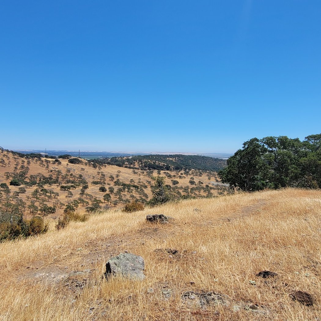 Nature Hike at Patwino Worrtla Kodoi Dihi Open Space Park 3