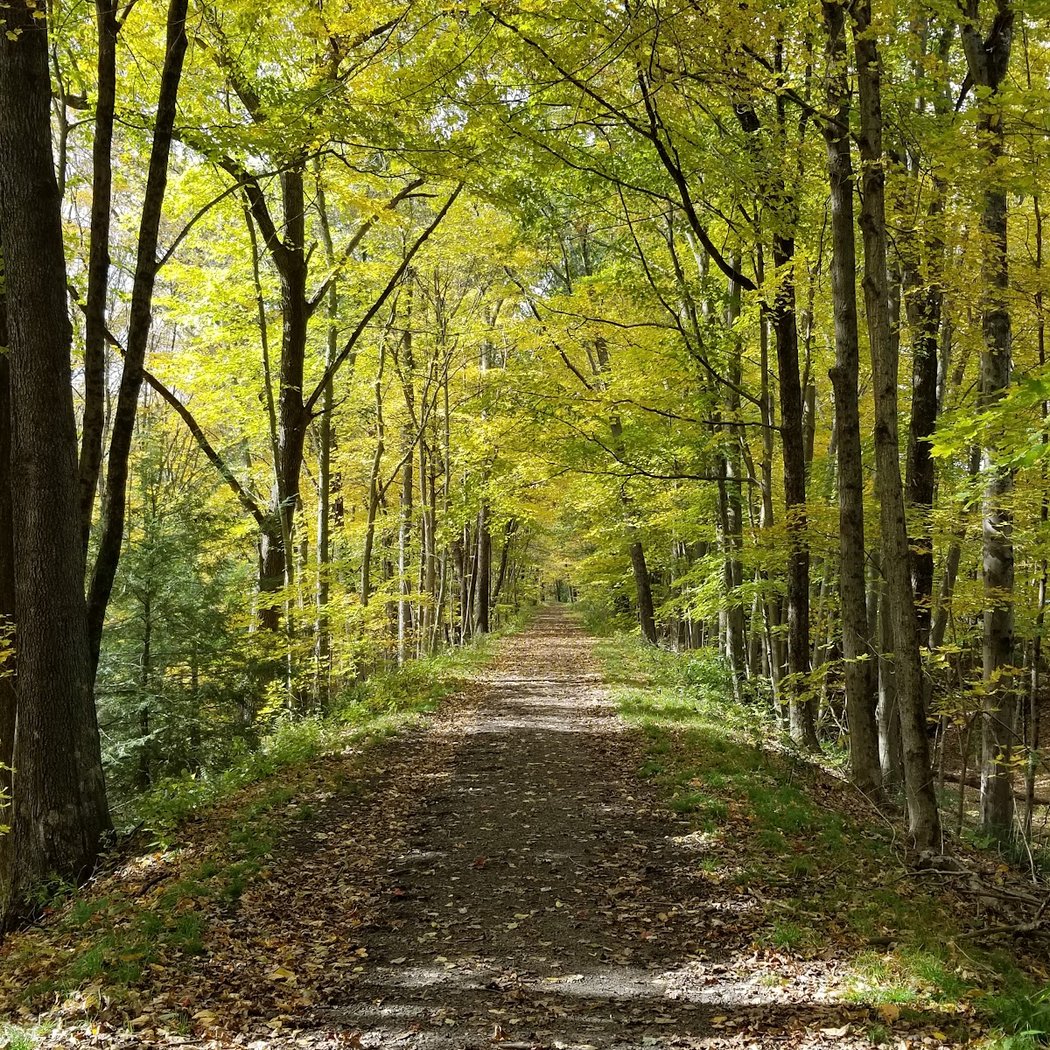 Larkin State Park Trail 1