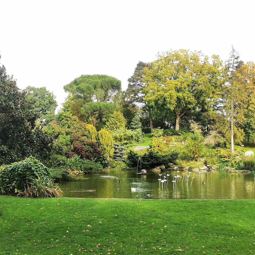 Jardin des plantes d'Angers 2