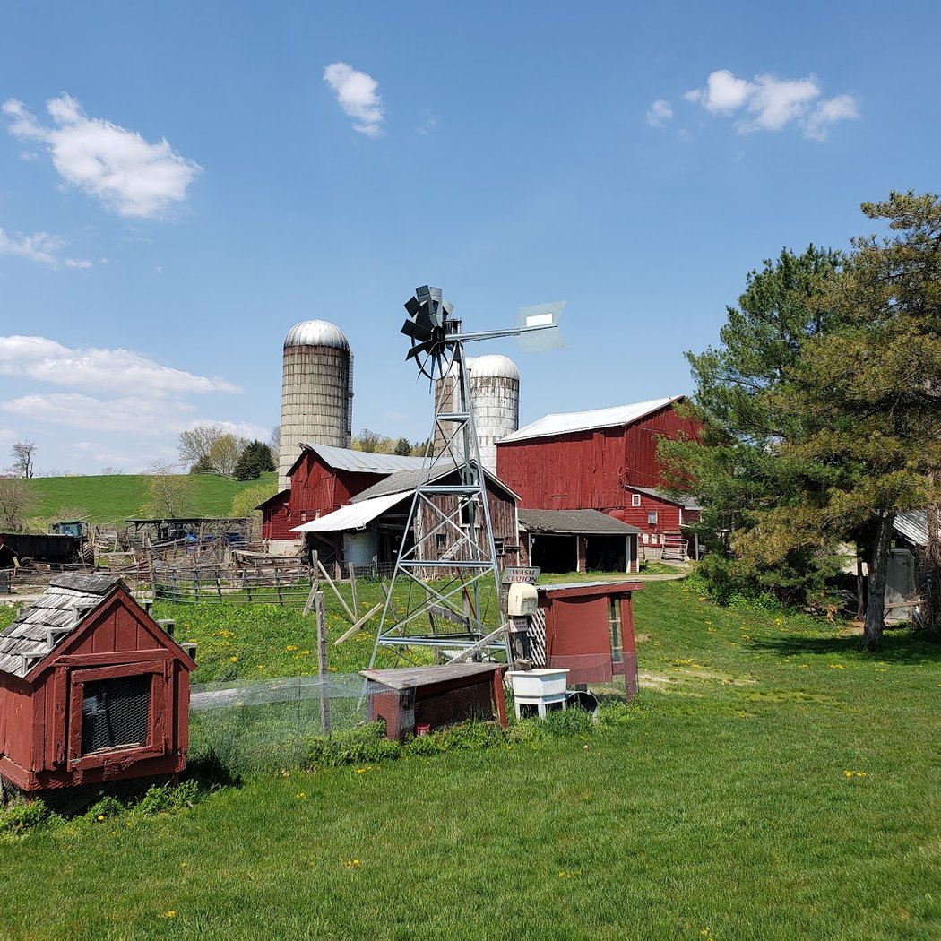 Hahn Farm 3