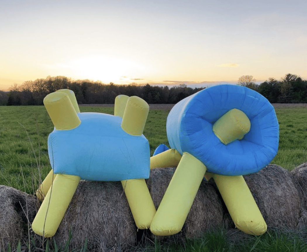 4 Week Soft Sculptures & Inflatables 1
