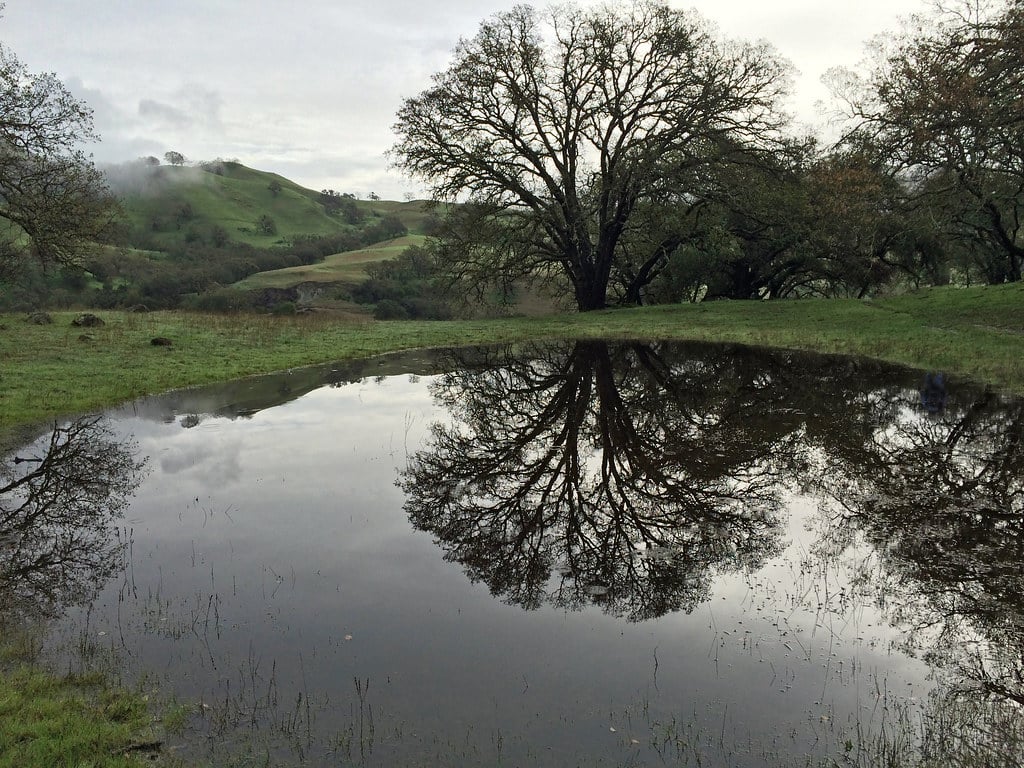 Mission Peak 3