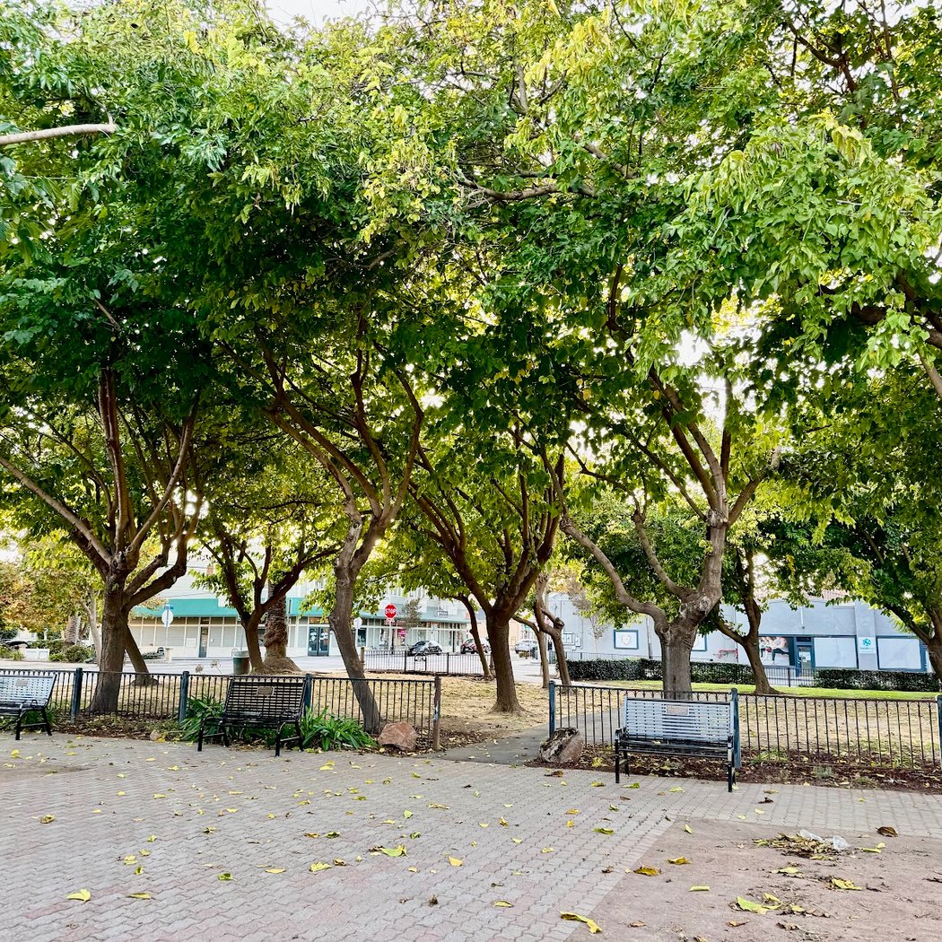Union City Farmers' Market 3