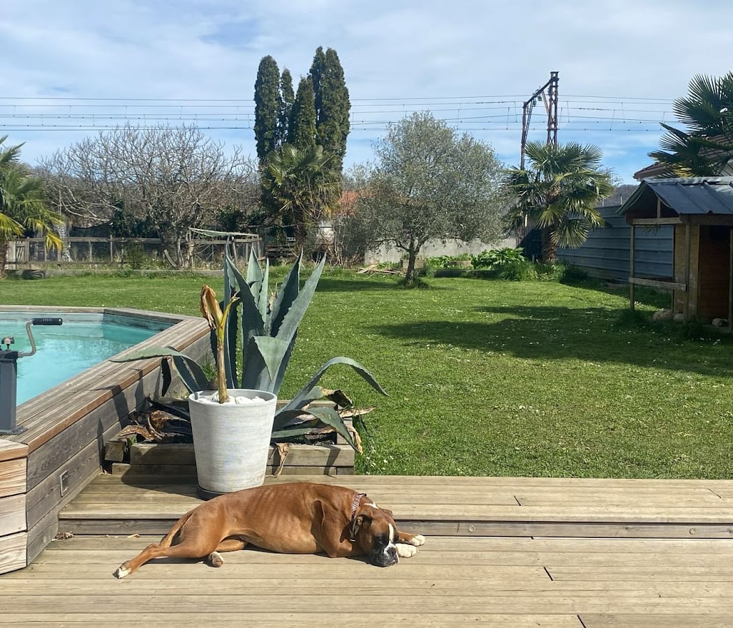 Amour aux pattes - Lia Fromont 3