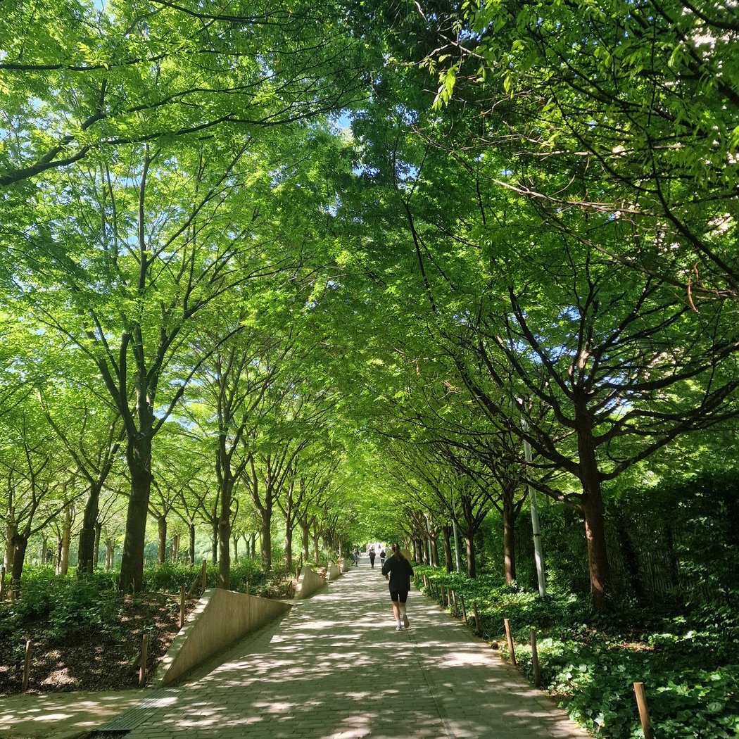 Fontaine des Bois, Parcs et Jardins 1