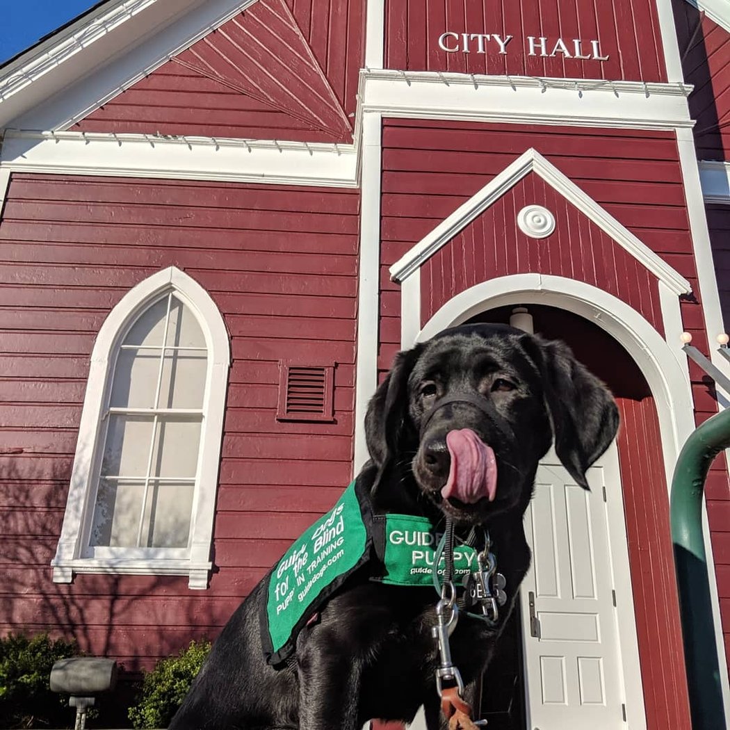 12 Days of Giving Fundraiser 1