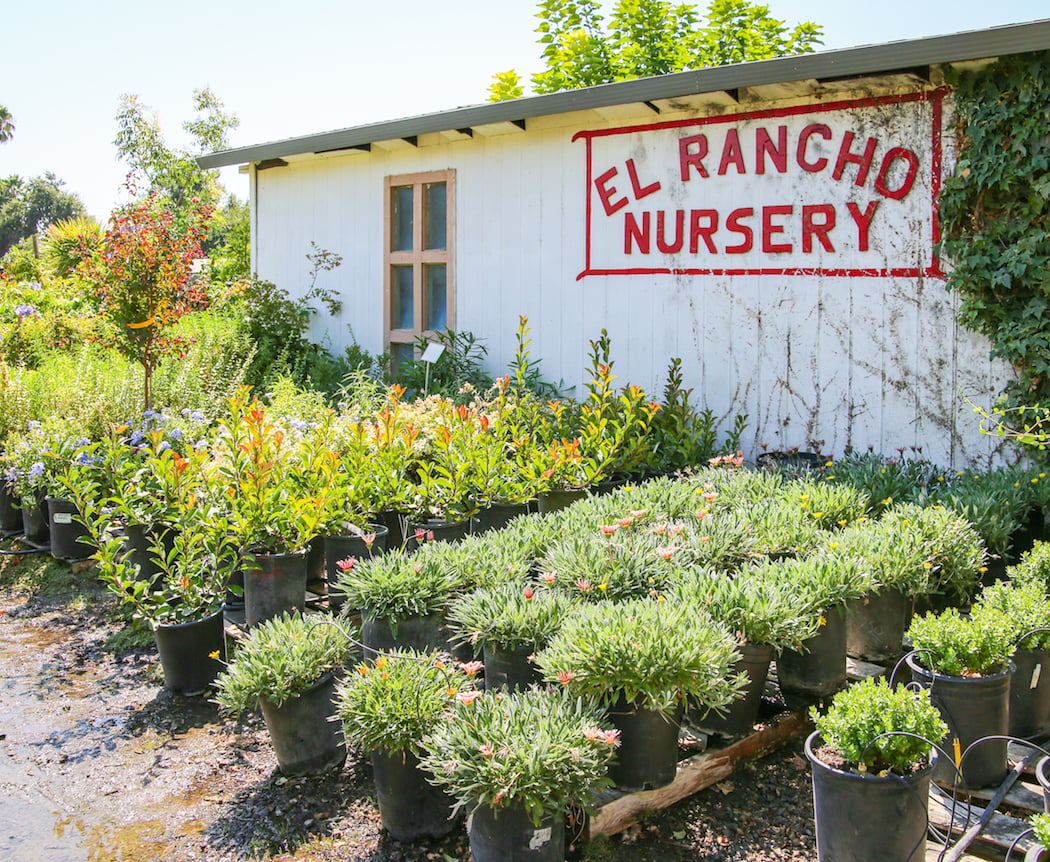 El Rancho Nursery 1