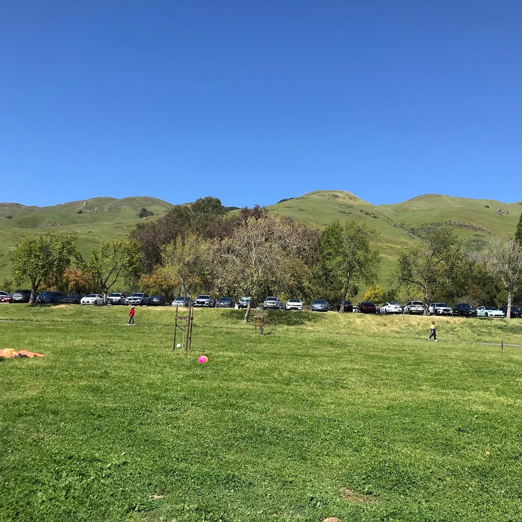 City of Milpitas Dog Park at Ed R. Levin 2