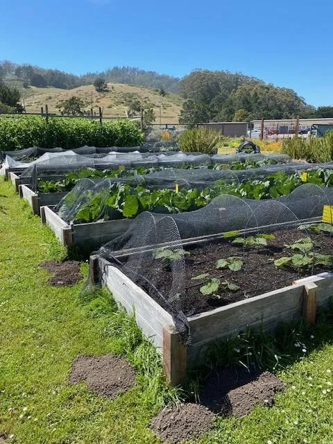 Pacifica Gardens 3
