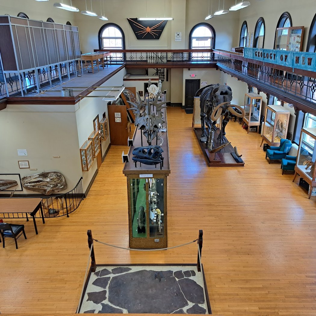 Rutgers Geology Museum 3