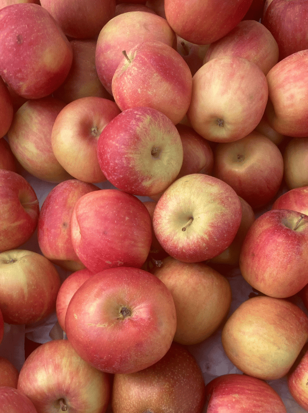 San Ramon Farmers Market 1