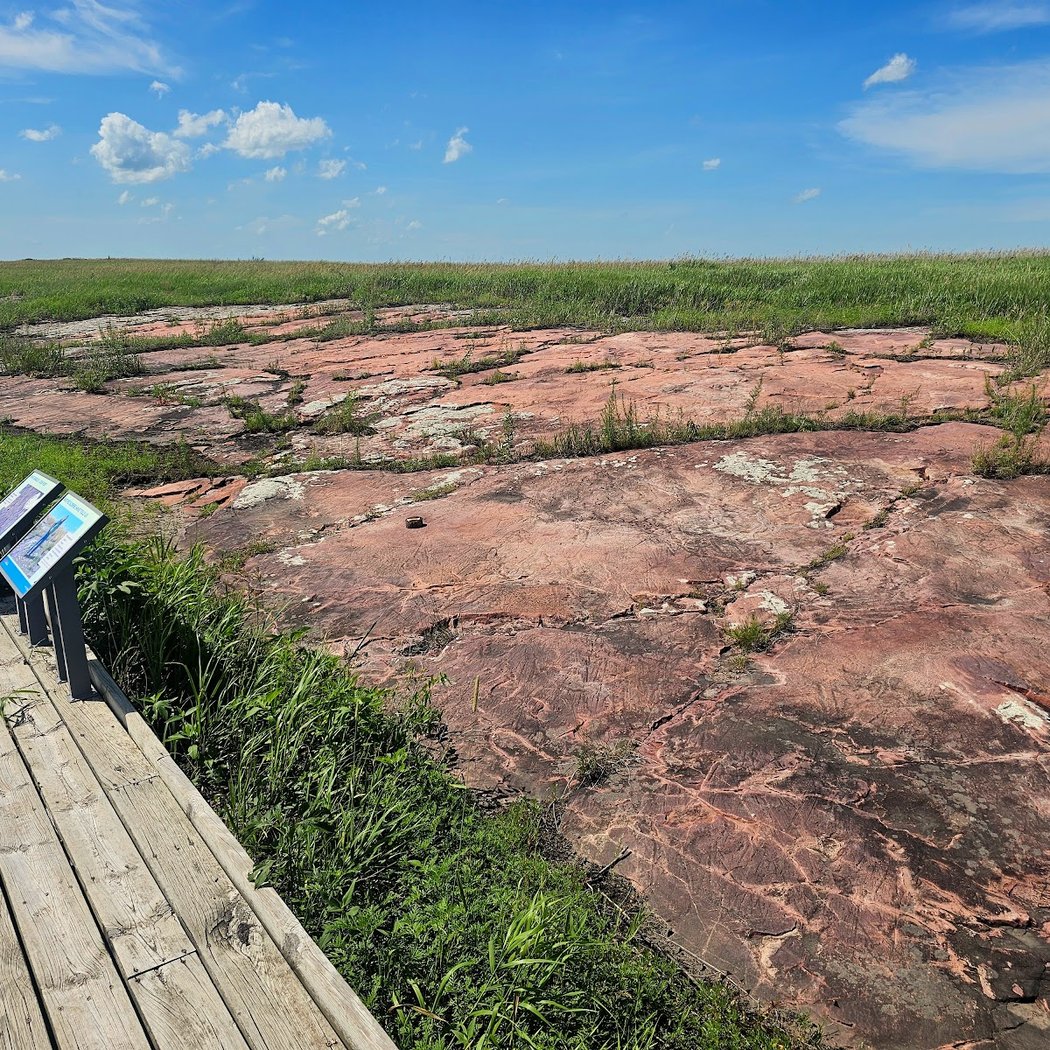 Author Talk: Learn about Lichen with the Bell Museum 3