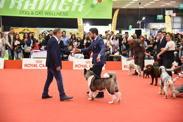 Thessaloniki International Trade Fair- Exhibition 3