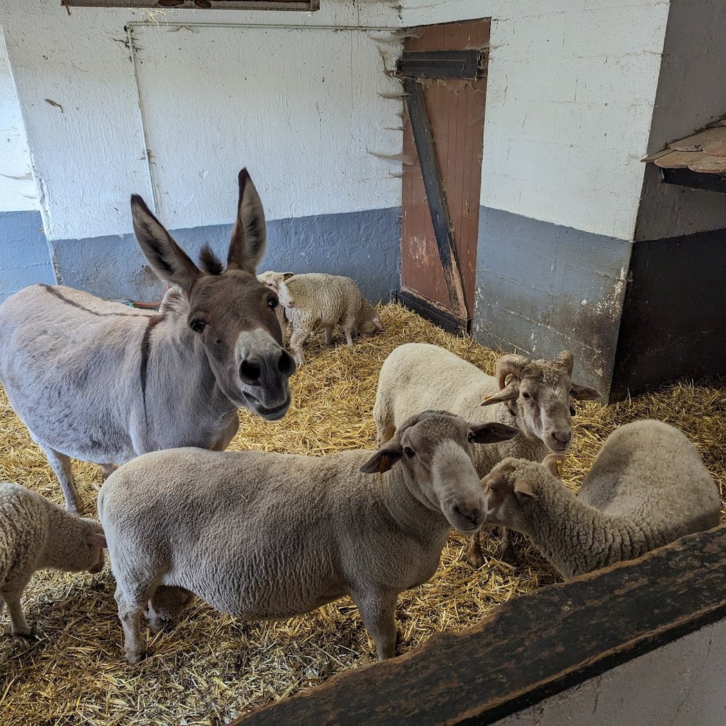 Educational Farm of Ganzau 1