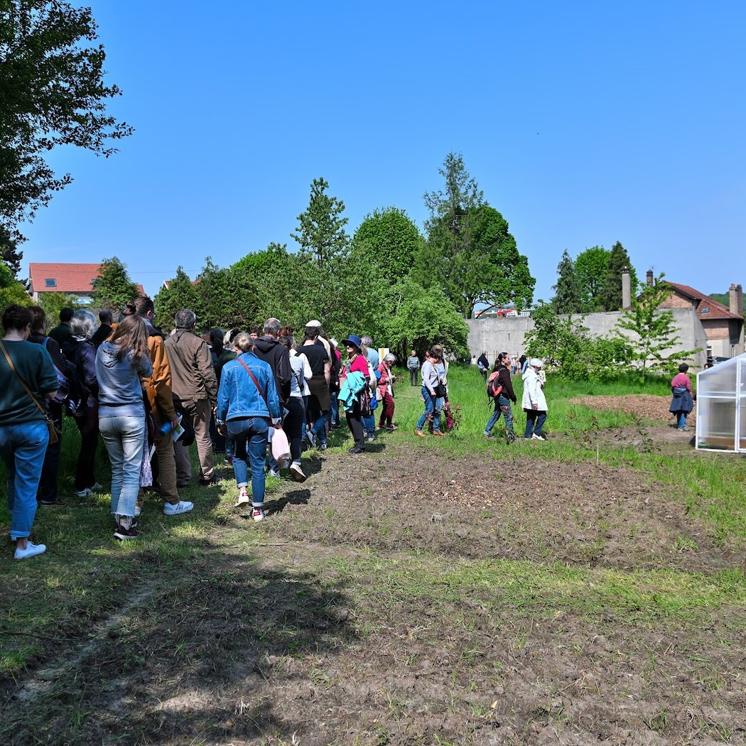 Atelier créatif « Décore, plante, fais pousser ! » 2