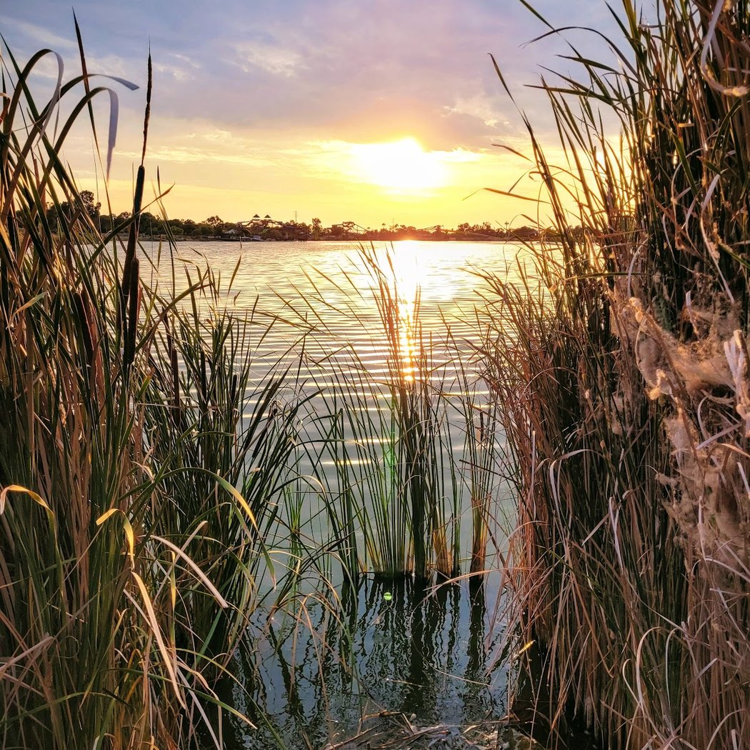 Cunningham Lake 1