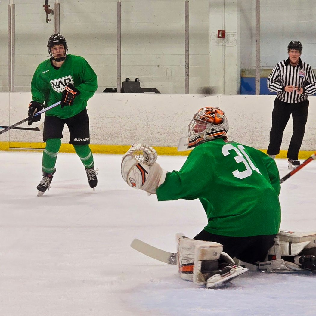 University of Michigan Women's Ice Hockey @ CCWHA League Tournament 1