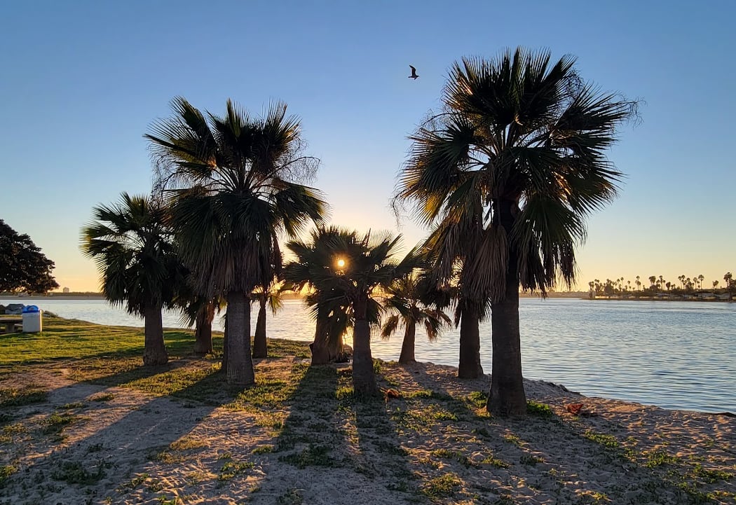Mission Bay 3