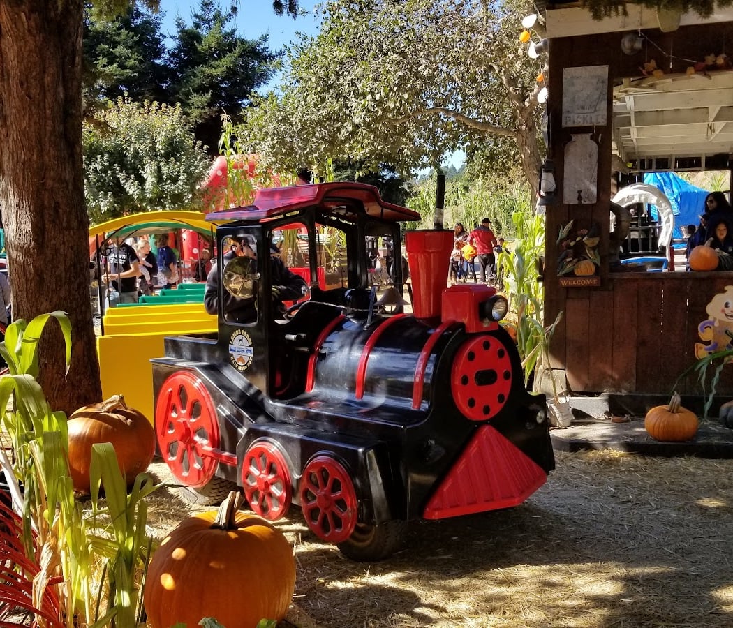 Birthday Parties at Lemos Farm 3