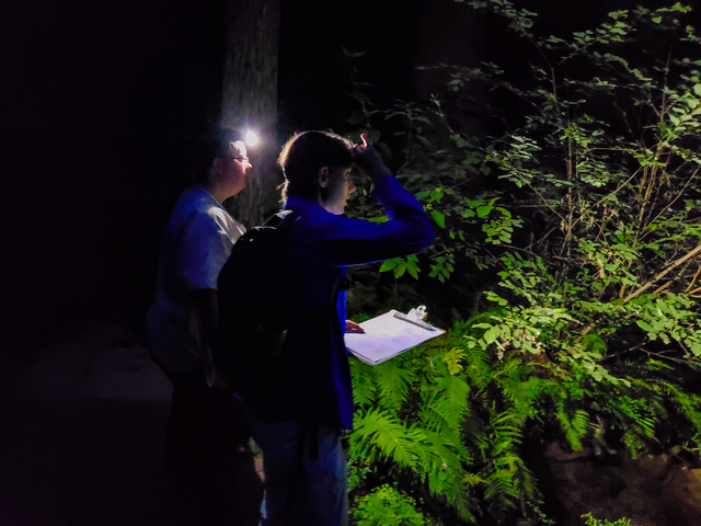 Night Hike 1