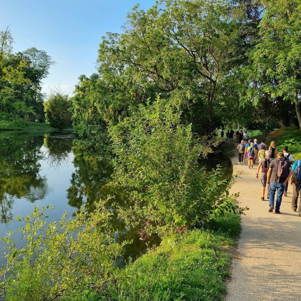 Departmental Committee for Walk of Paris 3