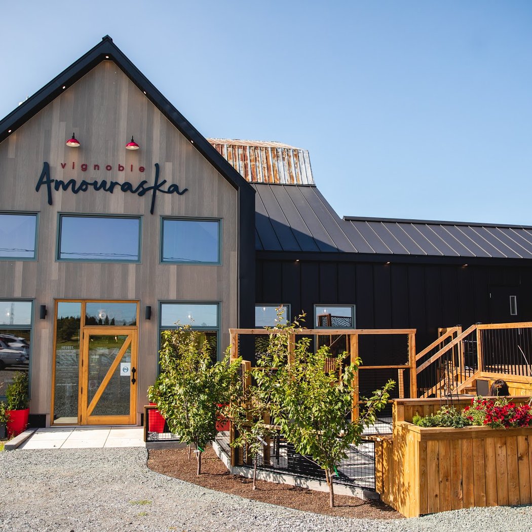 Vignoble Amouraska / Bistro terrasse / Dégustation et Apéro 2