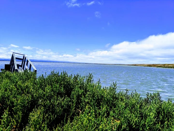 Eden Landing Ecological Reserve 2
