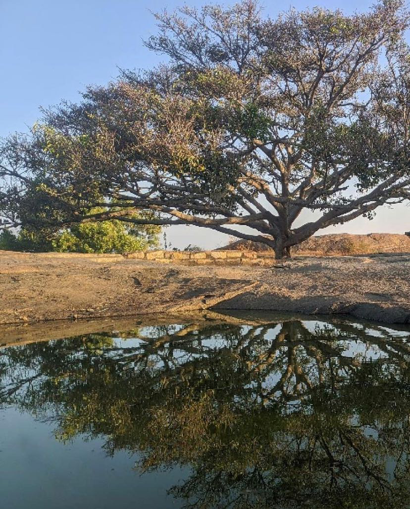 Turahalli Forest 3