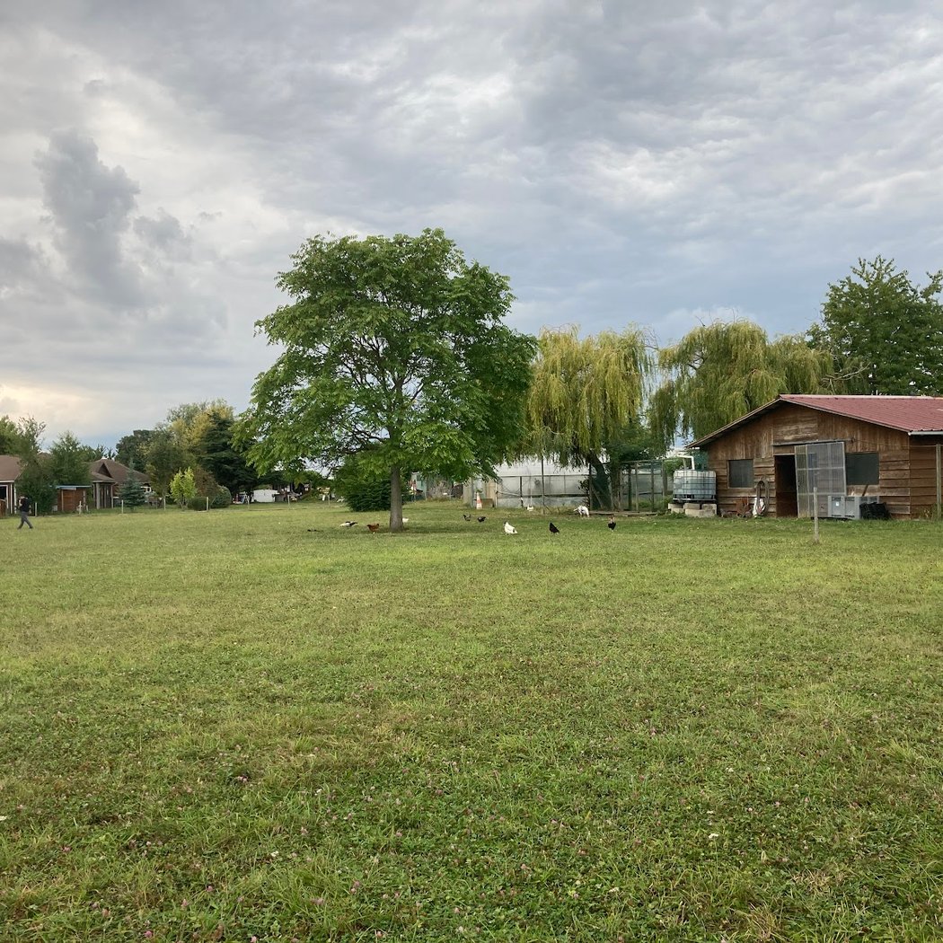 La Ferme du Parc des Meuniers 4