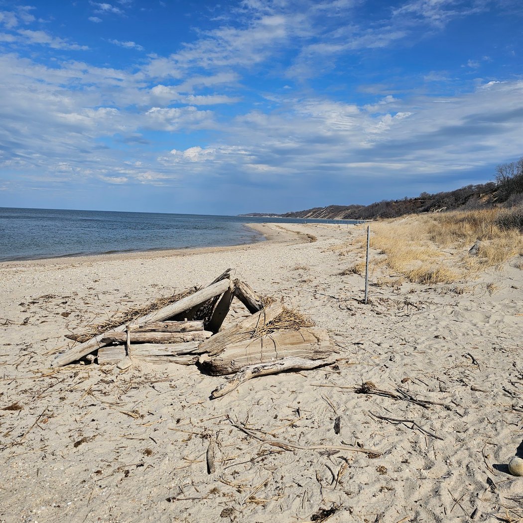 Hallock State Park Preserve 2