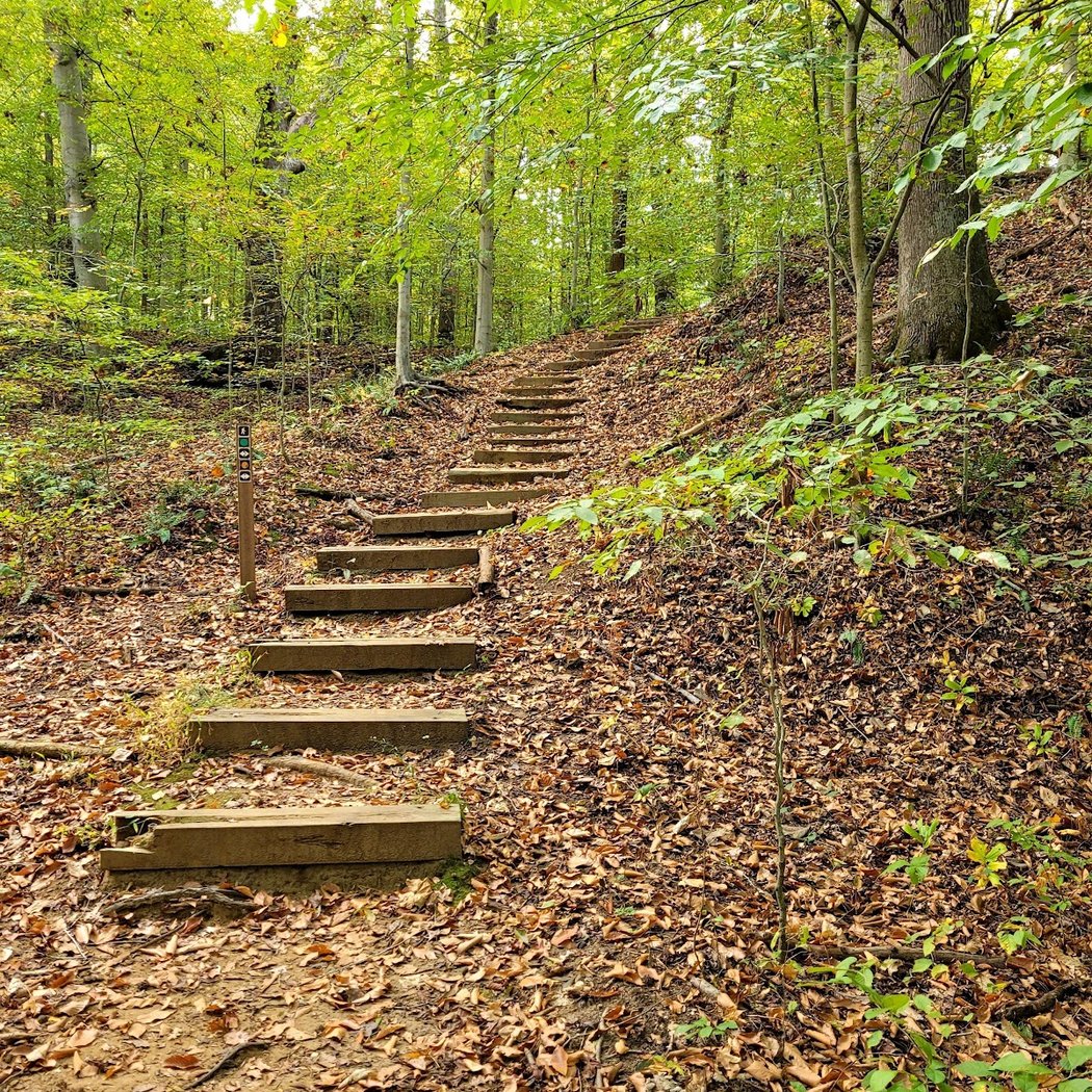Wellness Nature Hike 2
