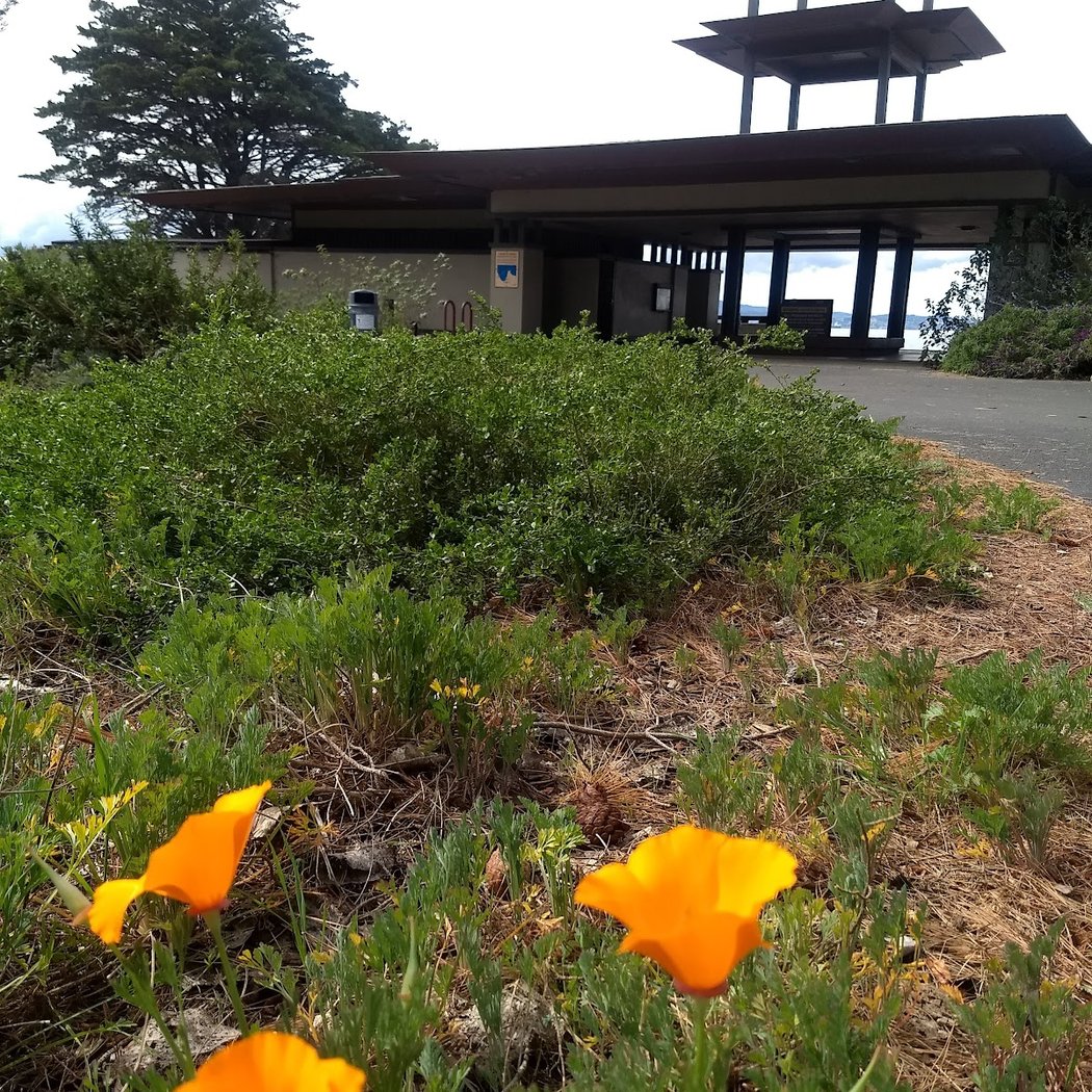 Habitat Garden 1