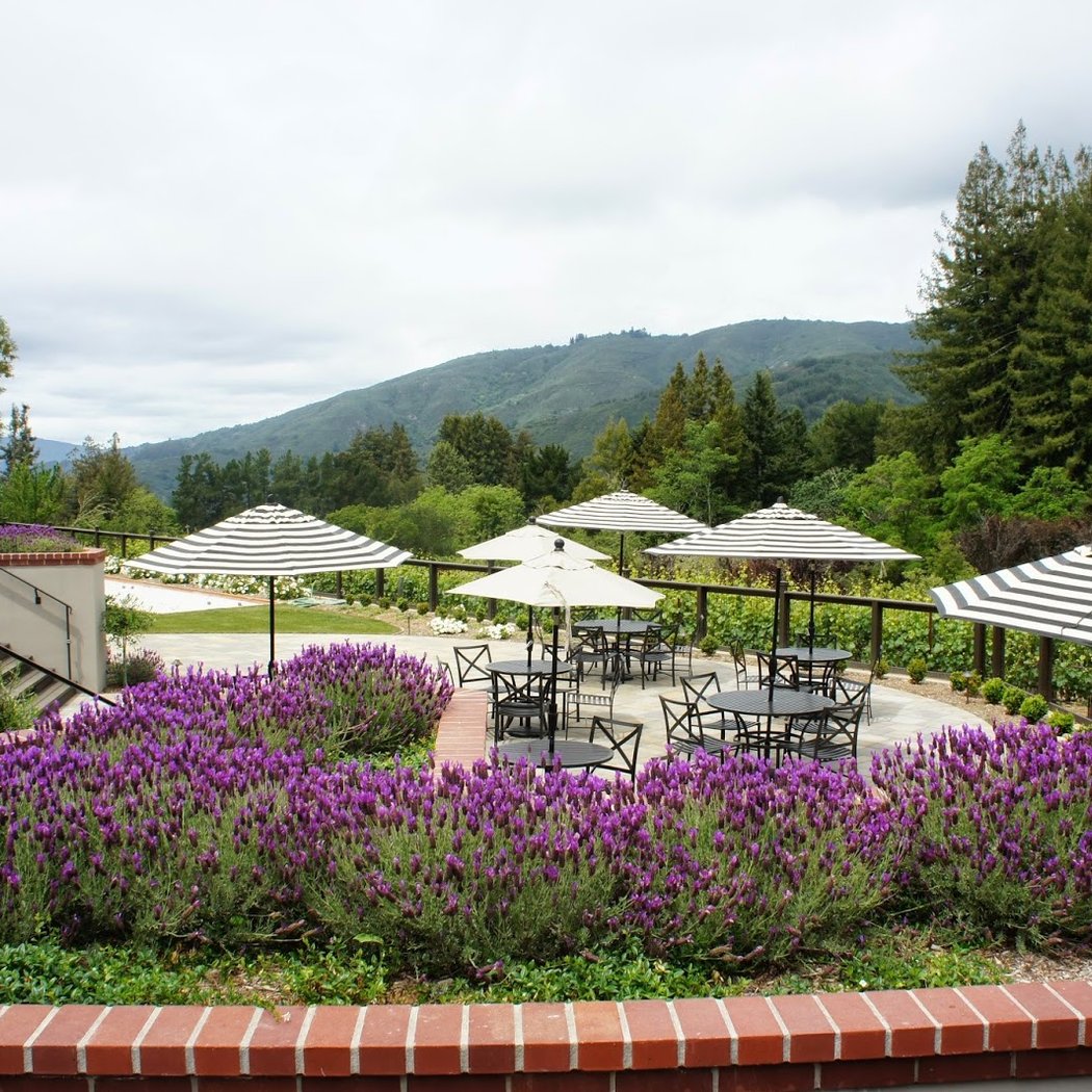 Wrights Station Vineyard & Winery 2