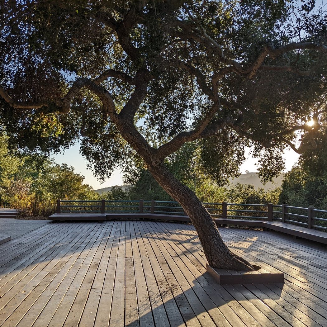 Elings Park 1