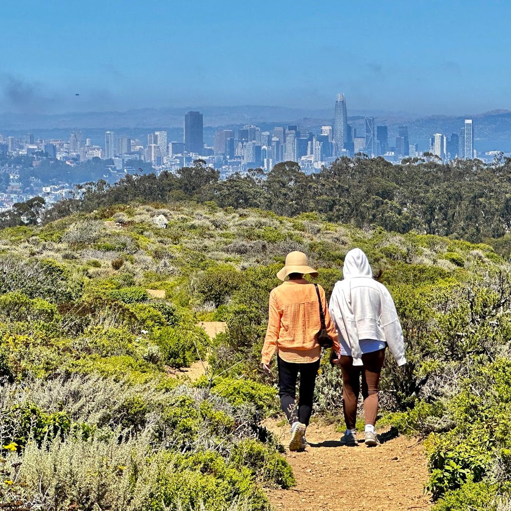 Summit Loop Trail, San Bruno Mountain 1