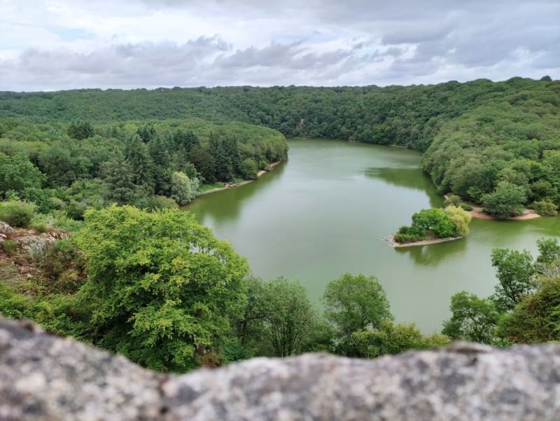 Forêt Domaniale de Mervent-Vouvant 2
