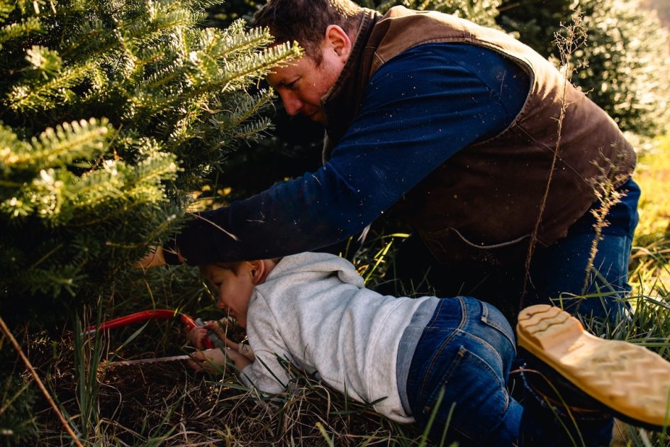 Hillside Christmas Tree Farm 1