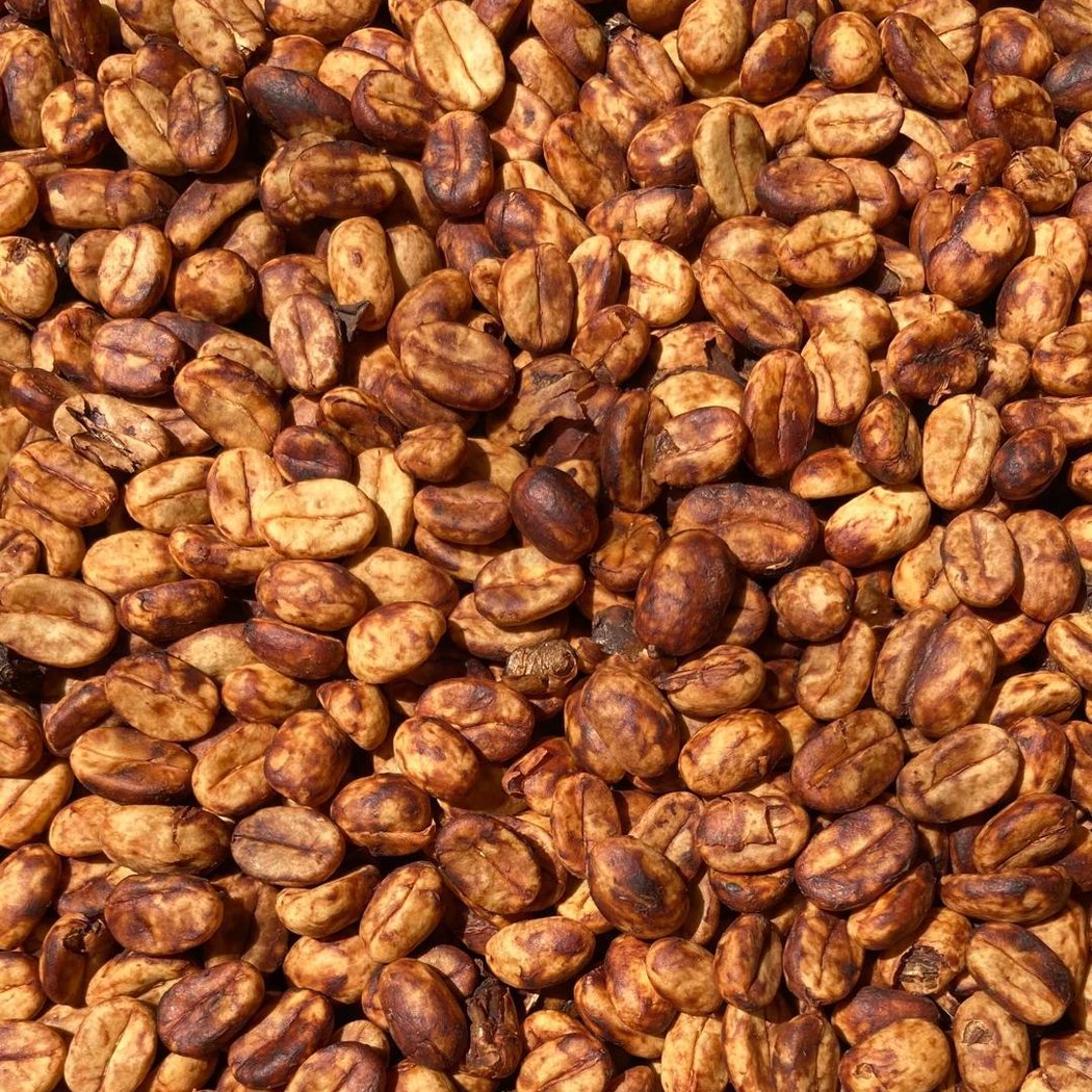 Flor de Damas Coffee 3