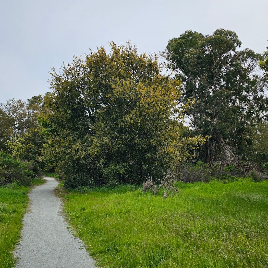 Ulistac Natural Area 3