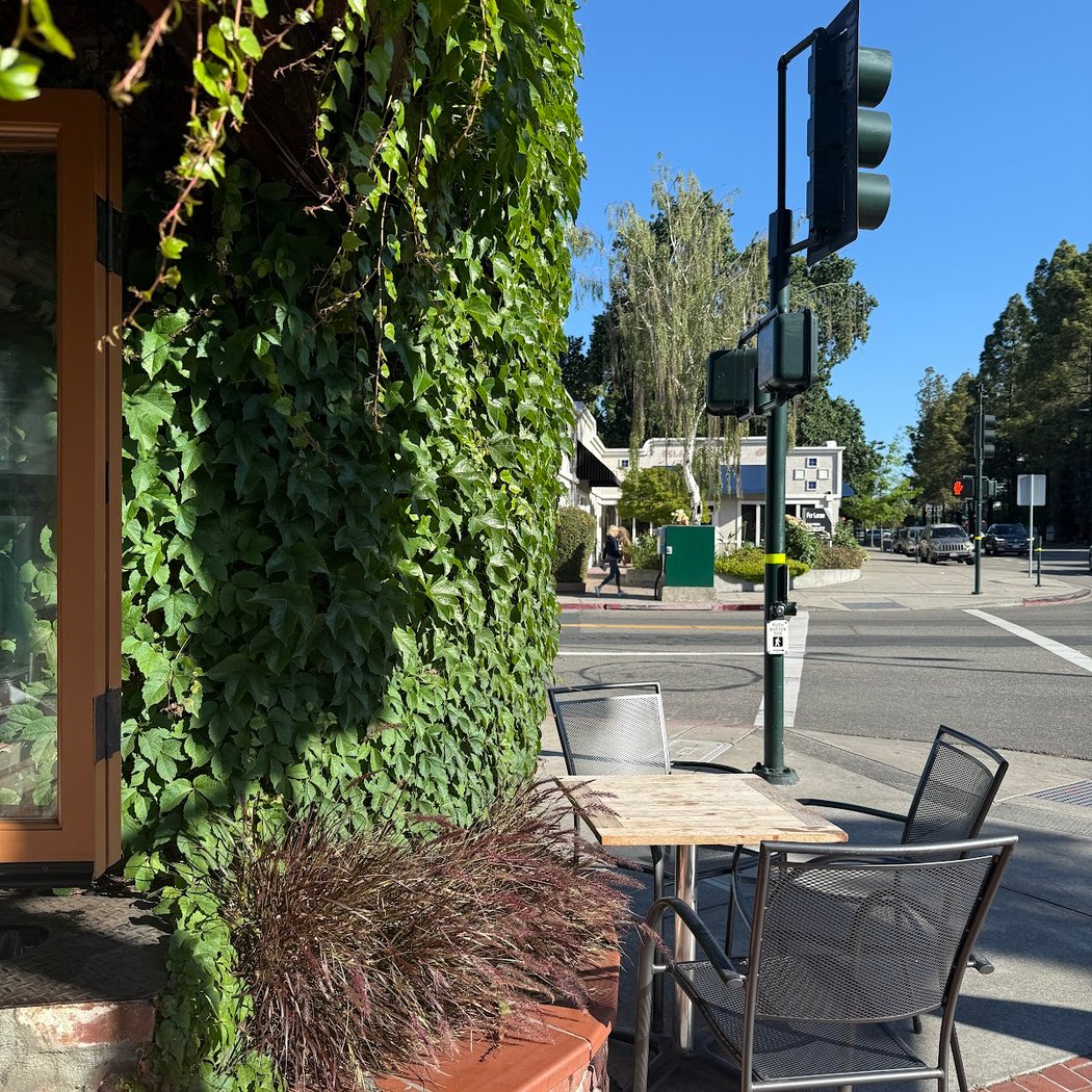 Panama Bay Coffee Co 2