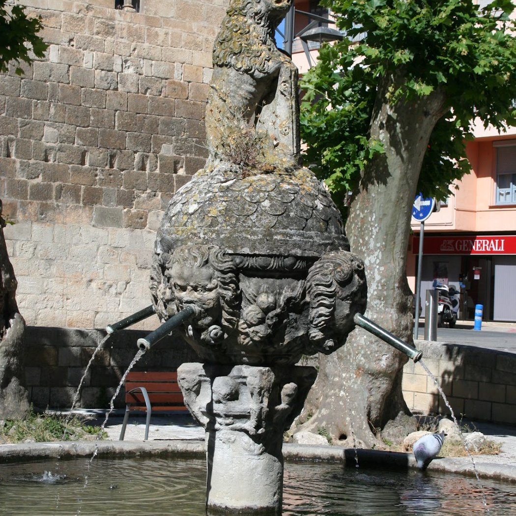 Estella 3