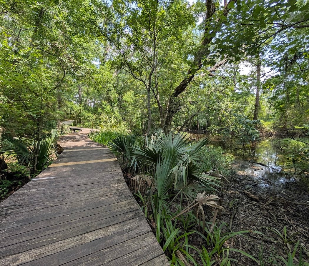 Camp Salmen Nature Park 2