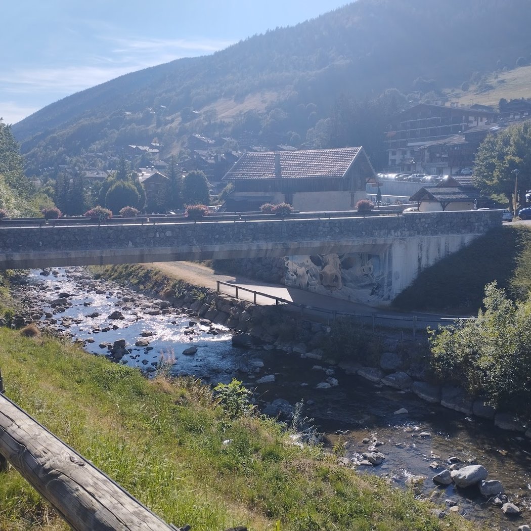 Le Grand-Bornand 3