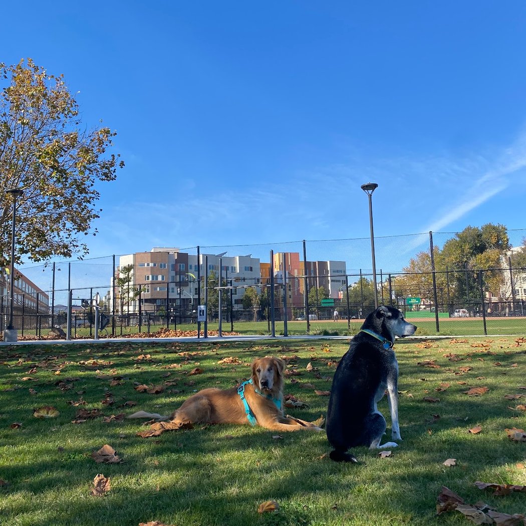 Bayview K.C. Jones Playground Park 1