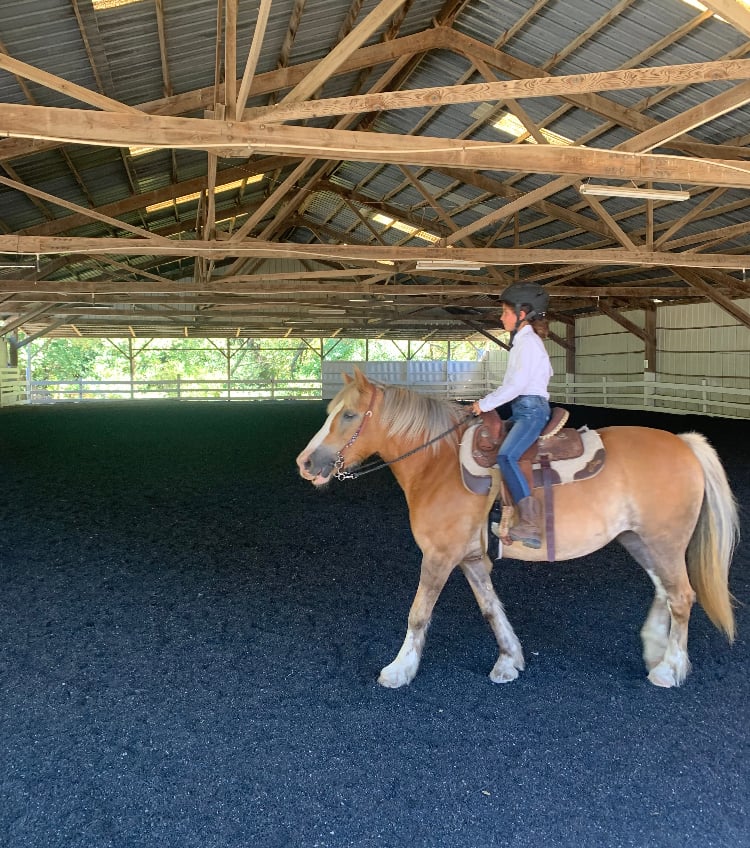 Dickson Ranch Horse and Activity Camp 3