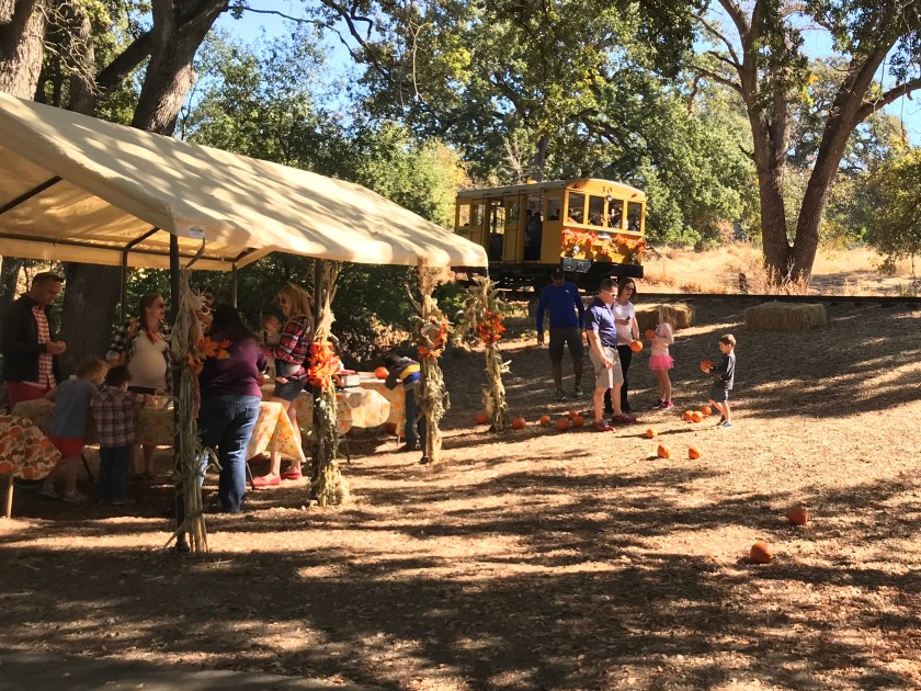 Pumpkin Patch Flyer 3