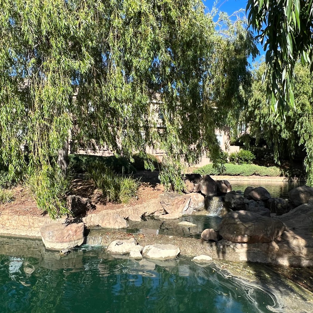 Yerba Buena Lake 2